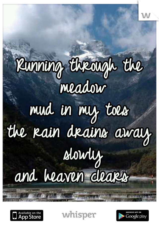 Running through the meadow
mud in my toes
the rain drains away slowly
and heaven clears  