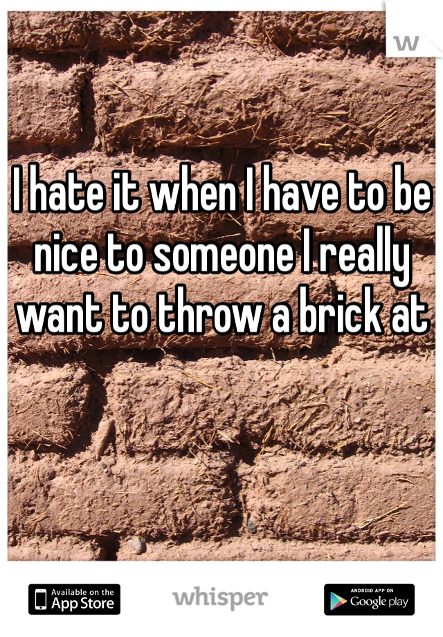 I hate it when I have to be nice to someone I really want to throw a brick at