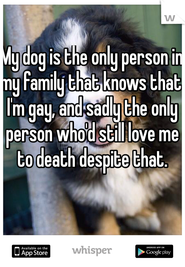 My dog is the only person in my family that knows that I'm gay, and sadly the only person who'd still love me to death despite that. 