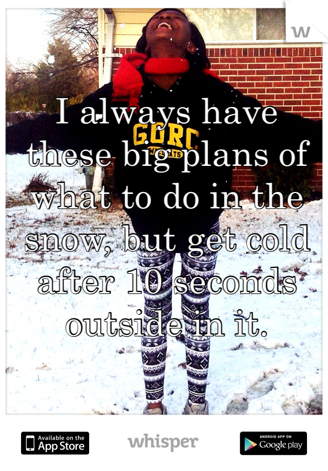 I always have these big plans of what to do in the snow, but get cold after 10 seconds outside in it.