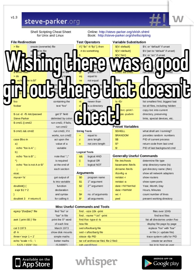 Wishing there was a good girl out there that doesn't cheat!