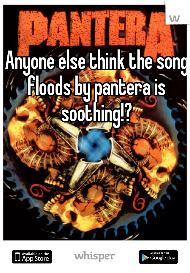 Anyone else think the song floods by pantera is soothing!?
