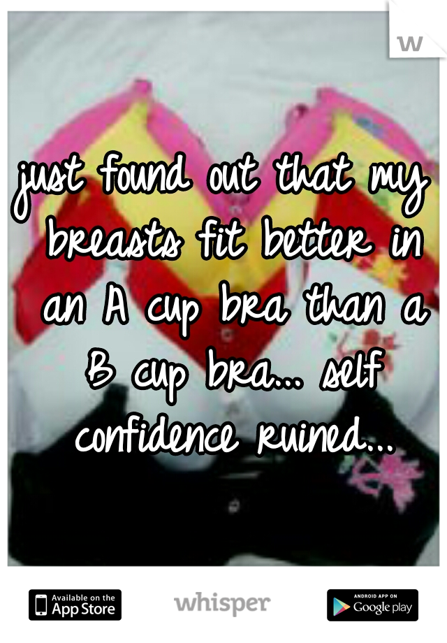 just found out that my breasts fit better in an A cup bra than a B cup bra... self confidence ruined...