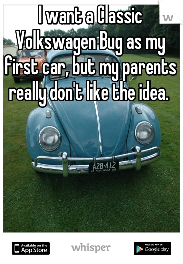 I want a Classic Volkswagen Bug as my first car, but my parents really don't like the idea. 