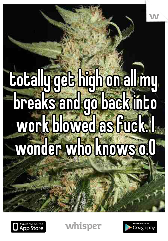 totally get high on all my breaks and go back into work blowed as fuck. I wonder who knows o.O