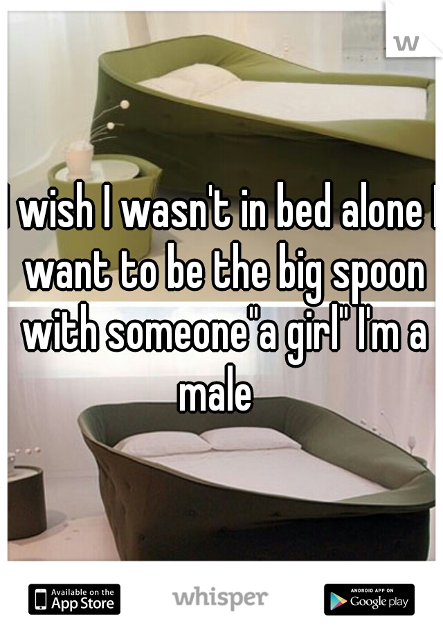 

I wish I wasn't in bed alone I want to be the big spoon with someone"a girl" I'm a male  