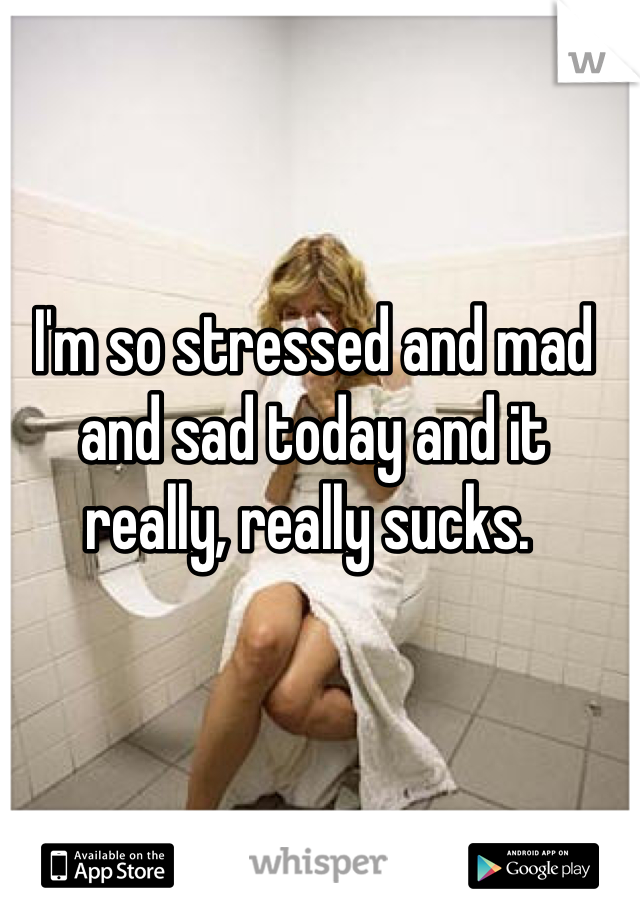 I'm so stressed and mad and sad today and it really, really sucks. 