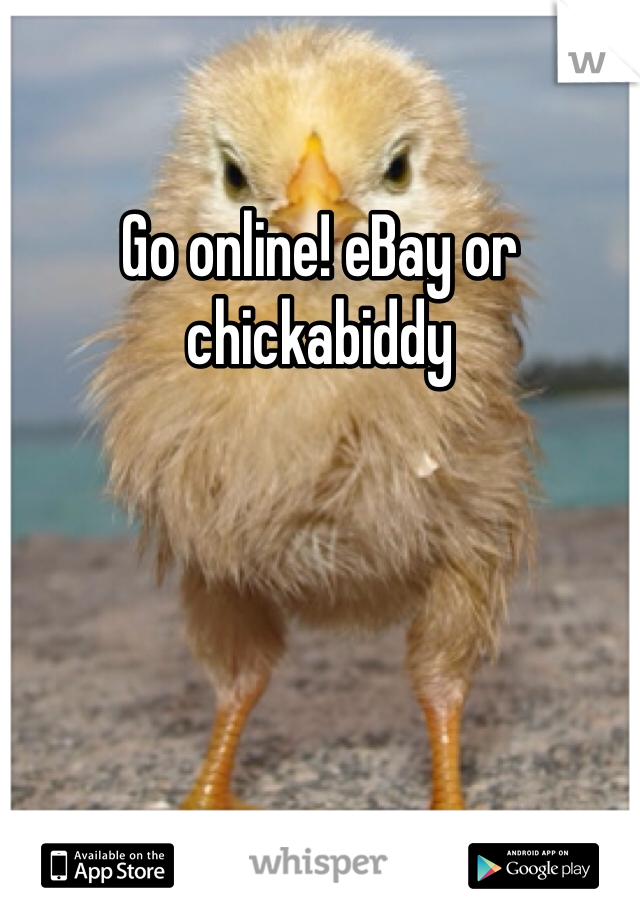 Go online! eBay or chickabiddy