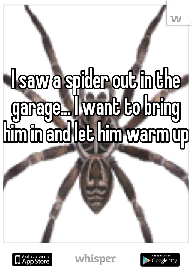 I saw a spider out in the garage... I want to bring him in and let him warm up