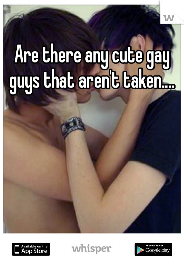 Are there any cute gay guys that aren't taken....