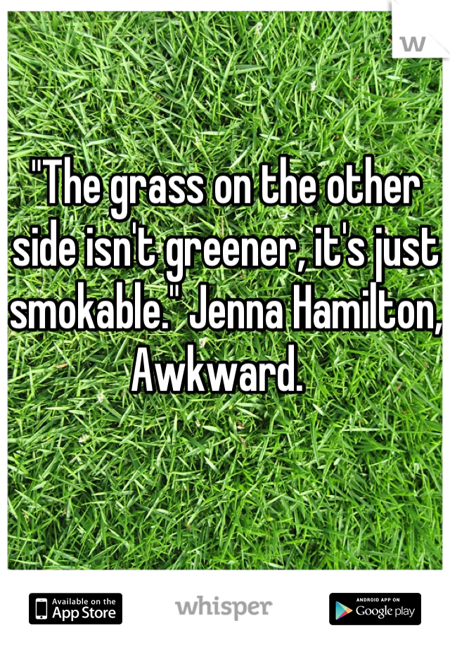 "The grass on the other side isn't greener, it's just smokable." Jenna Hamilton, Awkward.  