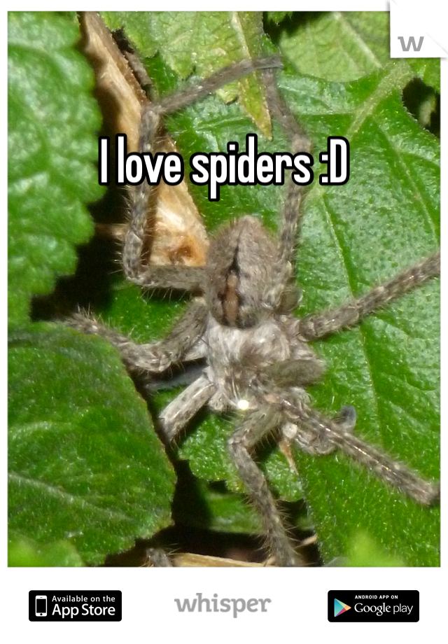 I love spiders :D