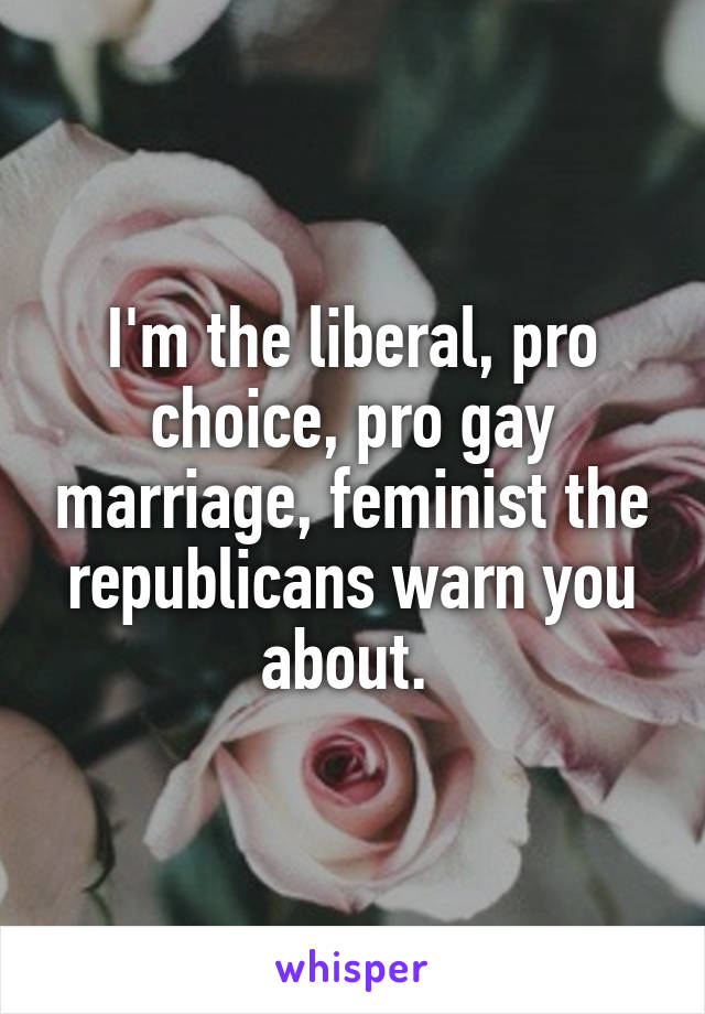 I'm the liberal, pro choice, pro gay marriage, feminist the republicans warn you about. 