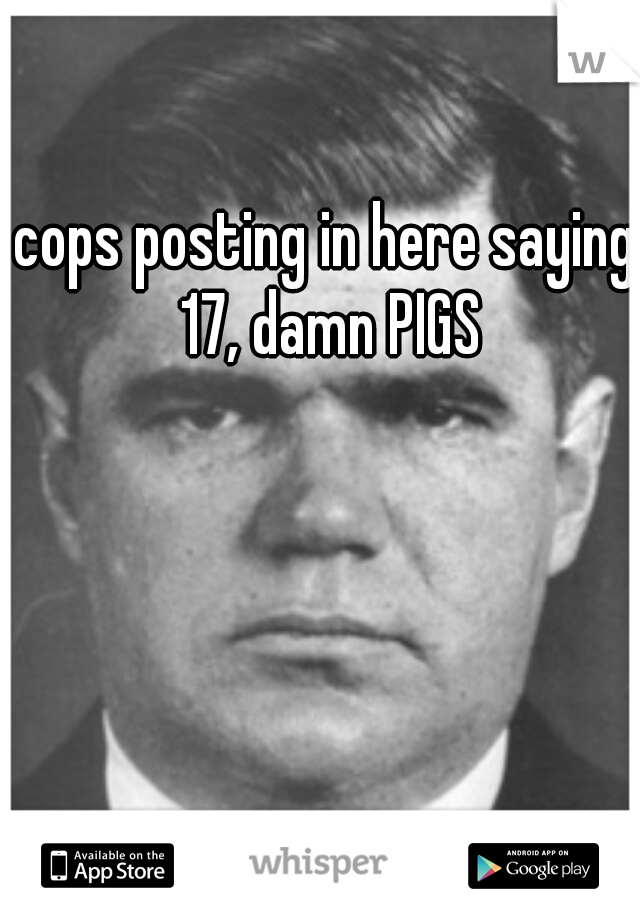 cops posting in here saying 17, damn PIGS