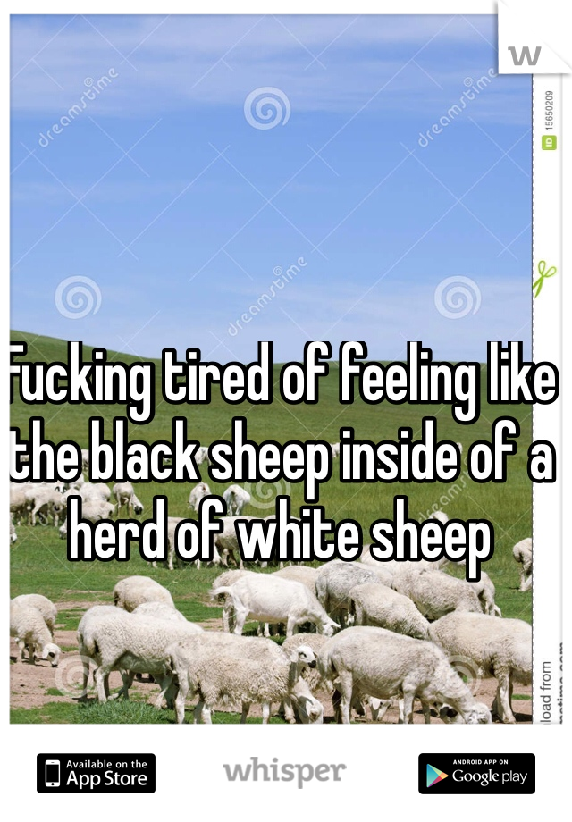 Fucking tired of feeling like the black sheep inside of a herd of white sheep 