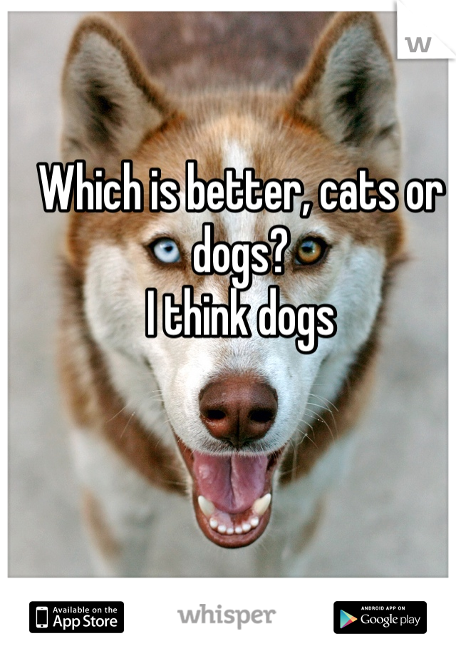Which is better, cats or dogs? 
I think dogs