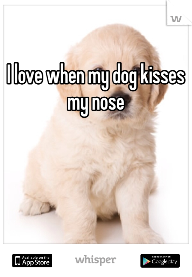 I love when my dog kisses my nose 