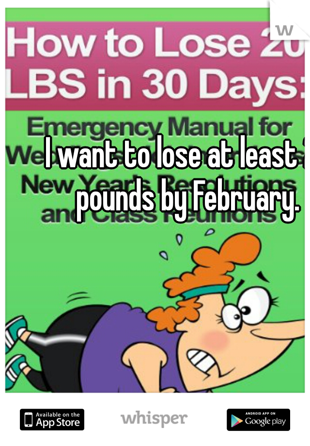 I want to lose at least 20 pounds by February. 