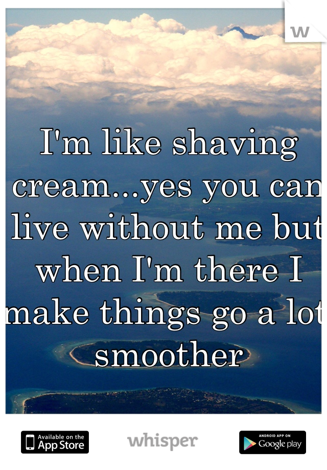 I'm like shaving cream...yes you can live without me but when I'm there I make things go a lot smoother 