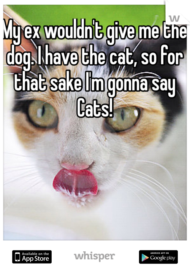 My ex wouldn't give me the dog. I have the cat, so for that sake I'm gonna say Cats!
