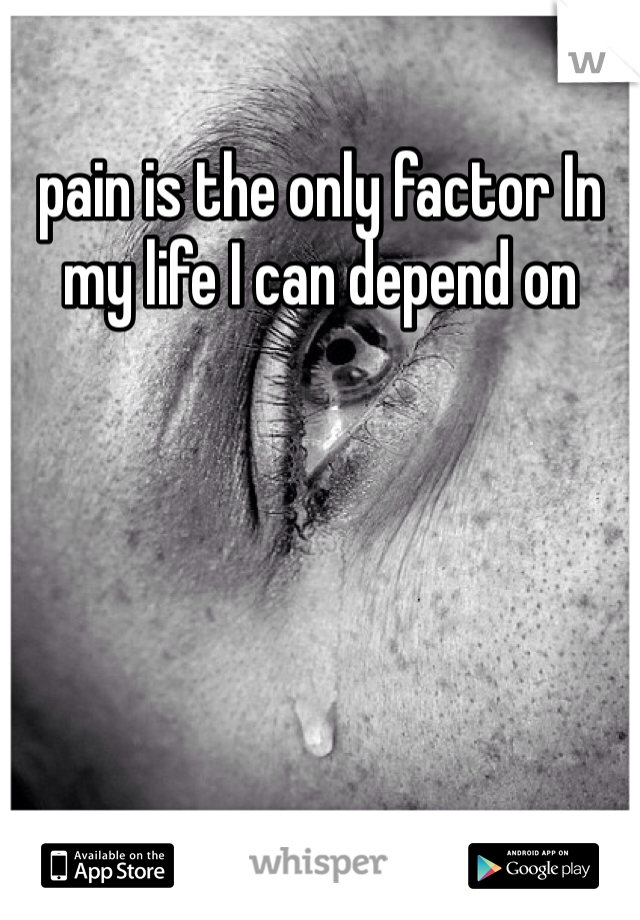 pain is the only factor In my life I can depend on 