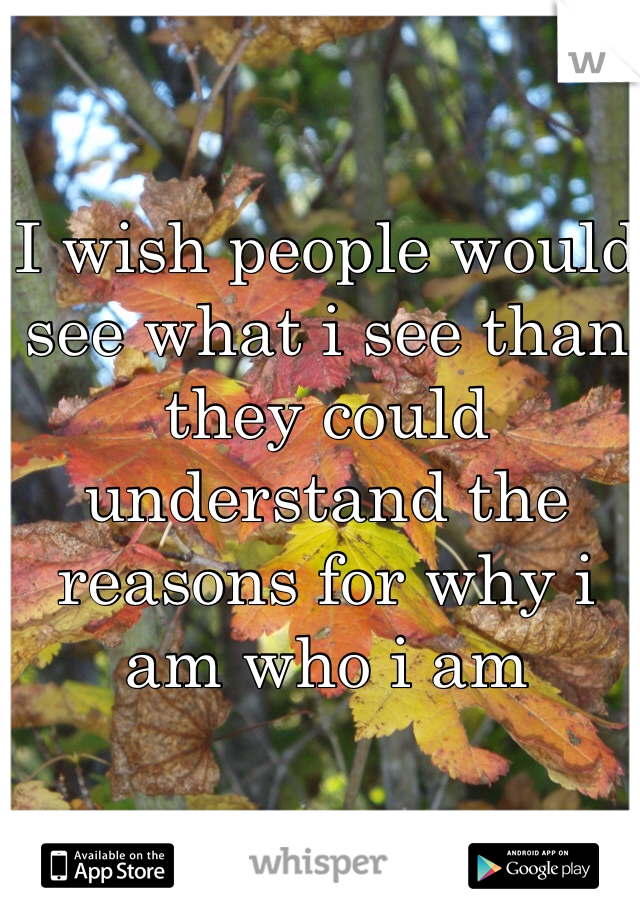 I wish people would see what i see than they could understand the reasons for why i am who i am
