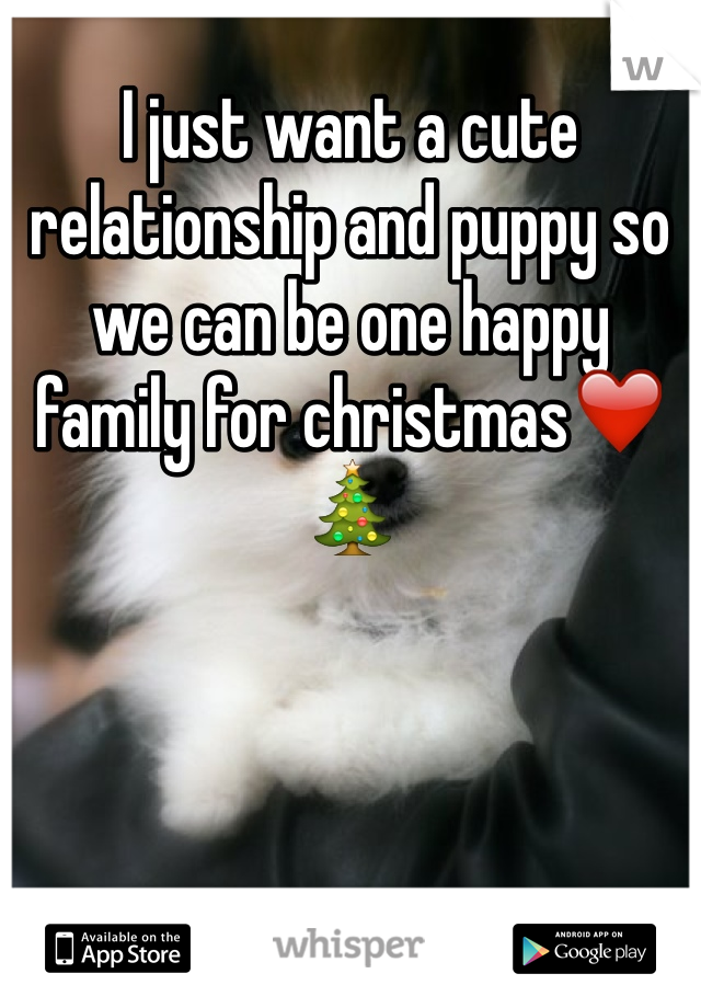 I just want a cute relationship and puppy so we can be one happy family for christmas❤️🎄