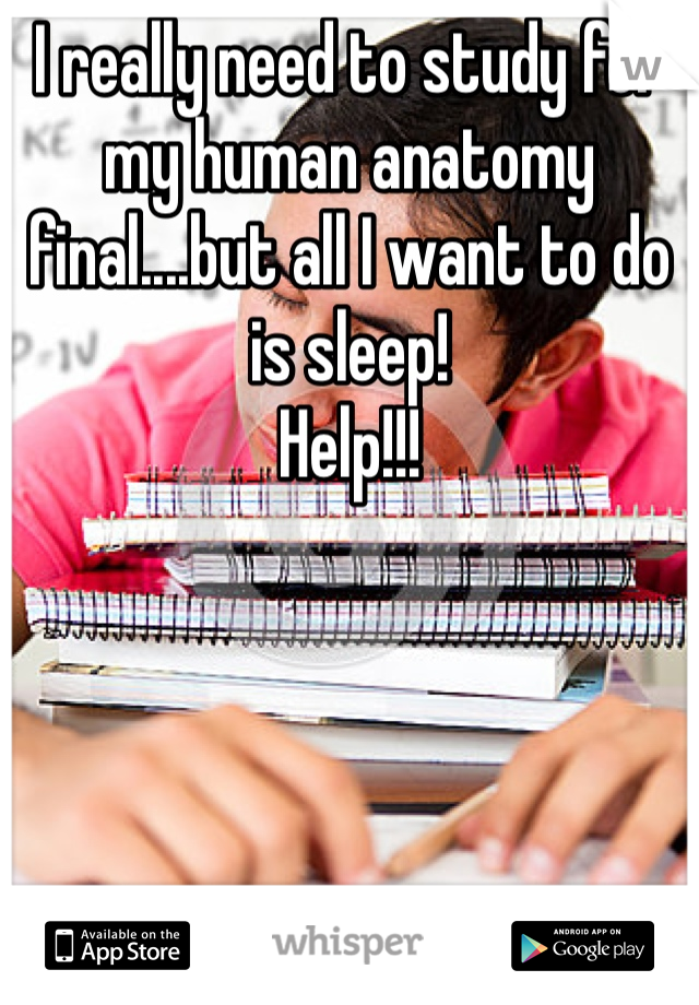 I really need to study for my human anatomy final....but all I want to do is sleep!
Help!!!