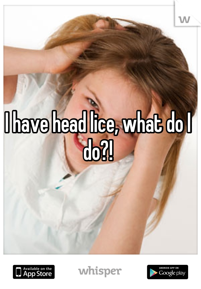 I have head lice, what do I do?!