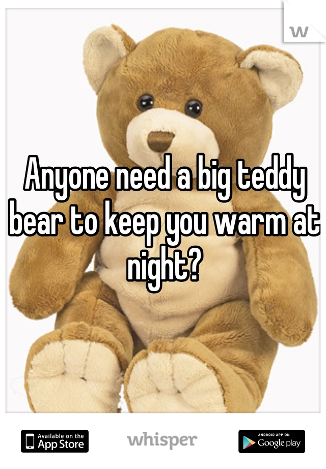 Anyone need a big teddy bear to keep you warm at night?