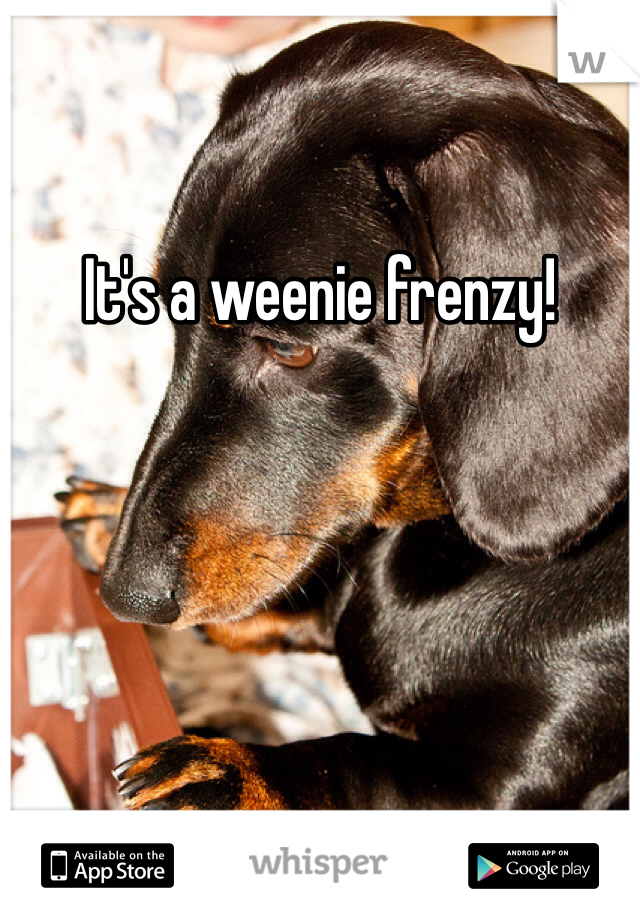 It's a weenie frenzy!