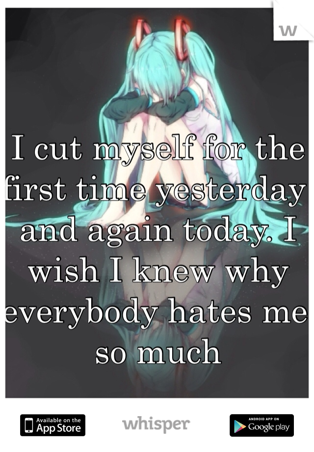 I cut myself for the first time yesterday and again today. I wish I knew why everybody hates me so much