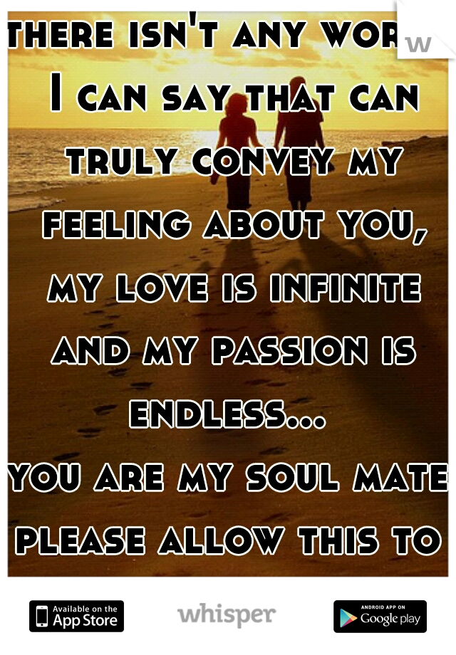there isn't any words I can say that can truly convey my feeling about you, my love is infinite and my passion is endless... 
you are my soul mate
please allow this to be our faith