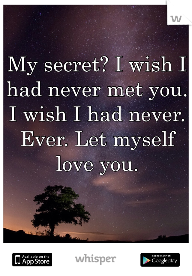My secret? I wish I had never met you. I wish I had never. Ever. Let myself love you. 