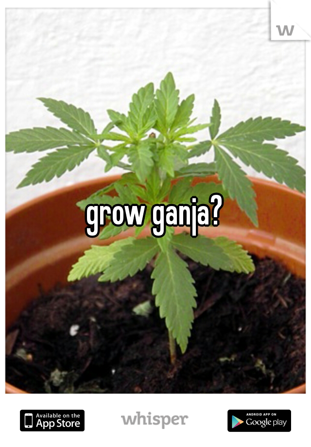 grow ganja?