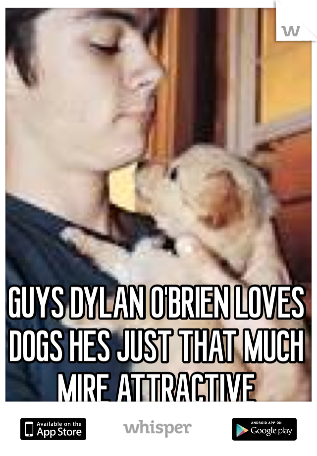 GUYS DYLAN O'BRIEN LOVES DOGS HES JUST THAT MUCH MIRE ATTRACTIVE