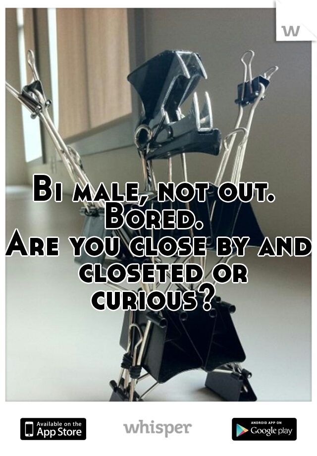 Bi male, not out. 
Bored. 
Are you close by and closeted or curious?  