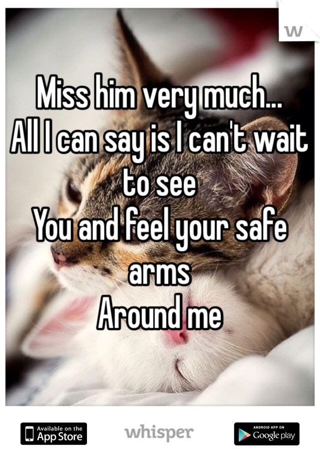 Miss him very much... 
All I can say is I can't wait to see 
You and feel your safe arms
Around me 