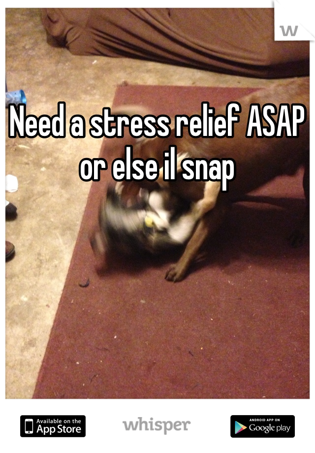 Need a stress relief ASAP or else il snap