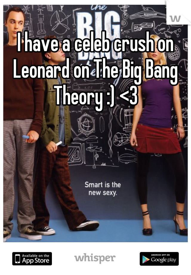 I have a celeb crush on Leonard on The Big Bang Theory :) <3