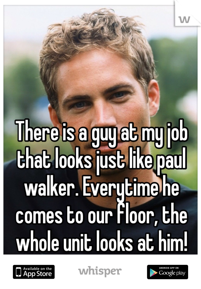 There is a guy at my job that looks just like paul walker. Everytime he comes to our floor, the whole unit looks at him! 