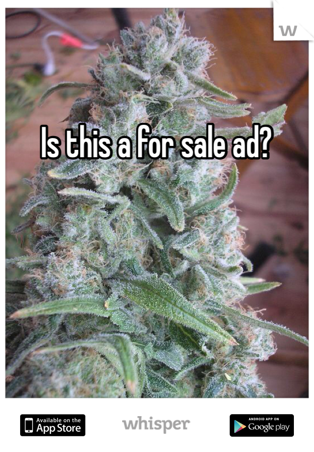 Is this a for sale ad?