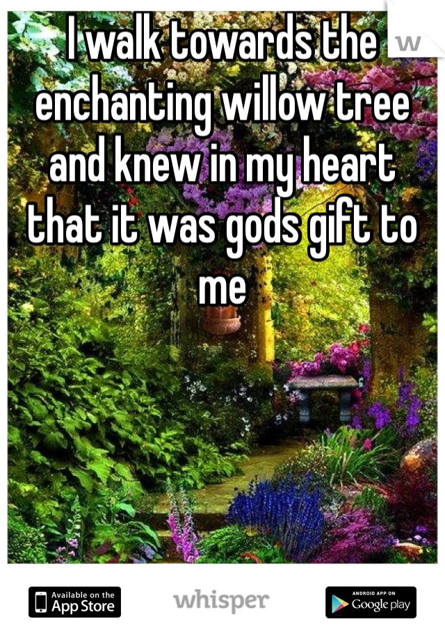 I walk towards the enchanting willow tree and knew in my heart that it was gods gift to me