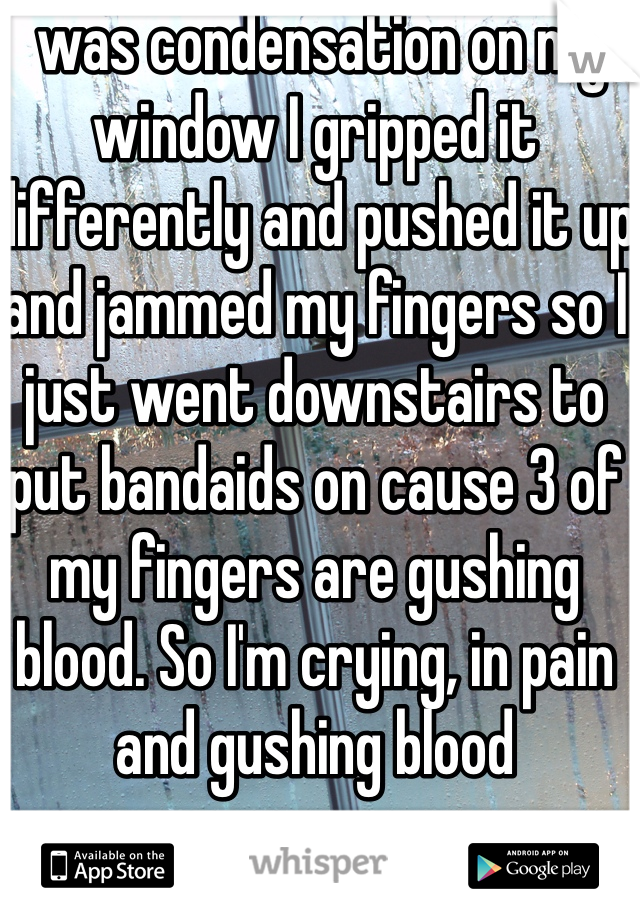  was condensation on my window I gripped it differently and pushed it up and jammed my fingers so I just went downstairs to put bandaids on cause 3 of my fingers are gushing blood. So I'm crying, in pain and gushing blood