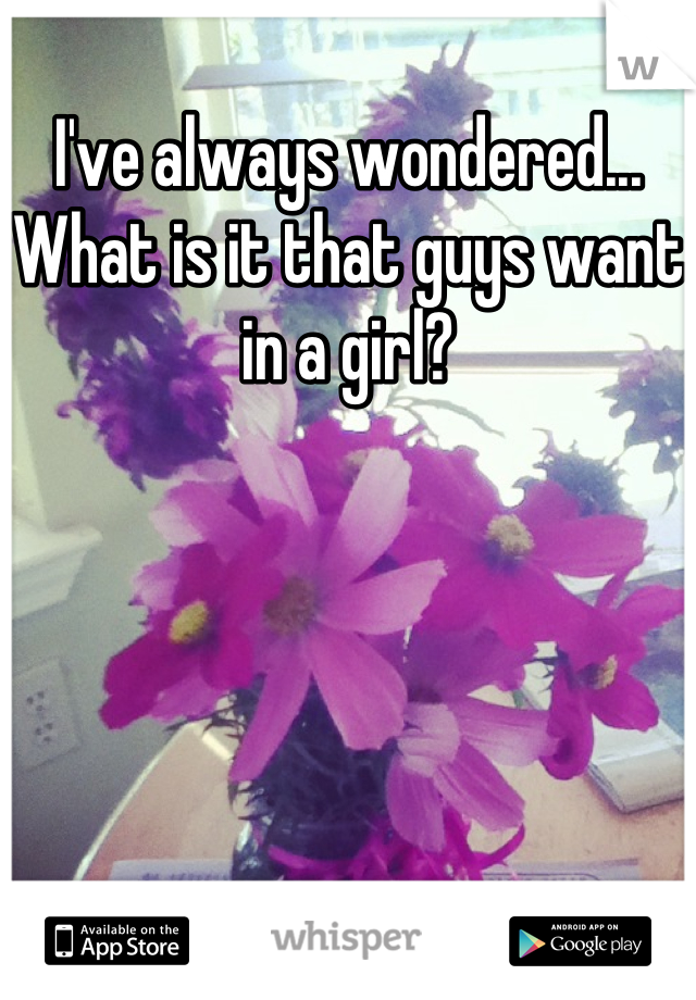 I've always wondered... What is it that guys want in a girl?
