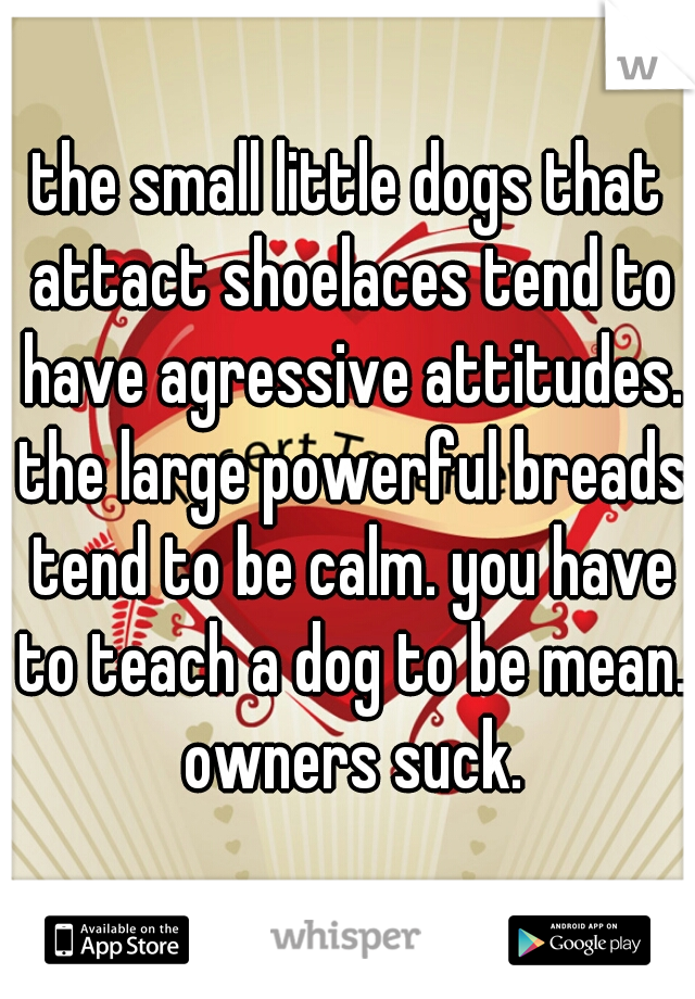 the small little dogs that attact shoelaces tend to have agressive attitudes. the large powerful breads tend to be calm. you have to teach a dog to be mean. owners suck.