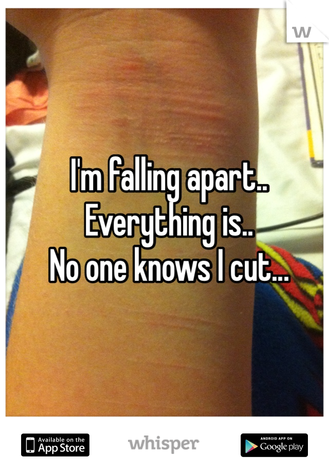I'm falling apart.. Everything is..
No one knows I cut...