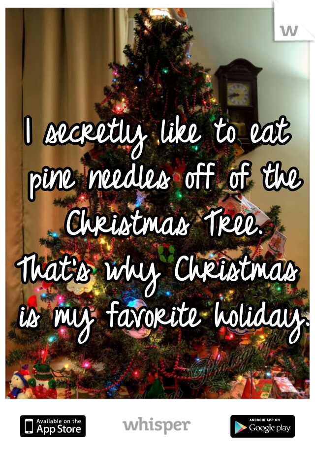 I secretly like to eat pine needles off of the Christmas Tree.
That's why Christmas is my favorite holiday. 