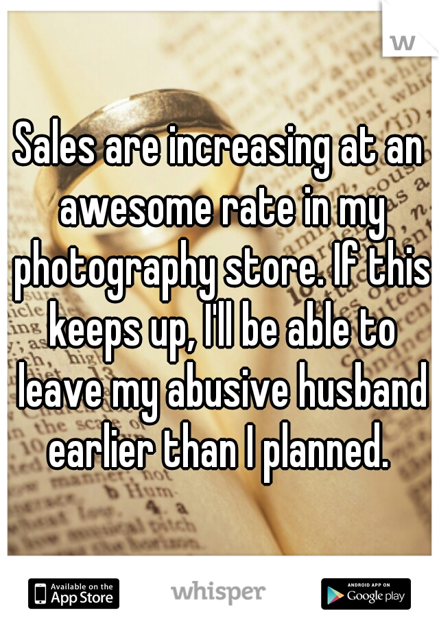 Sales are increasing at an awesome rate in my photography store. If this keeps up, I'll be able to leave my abusive husband earlier than I planned. 