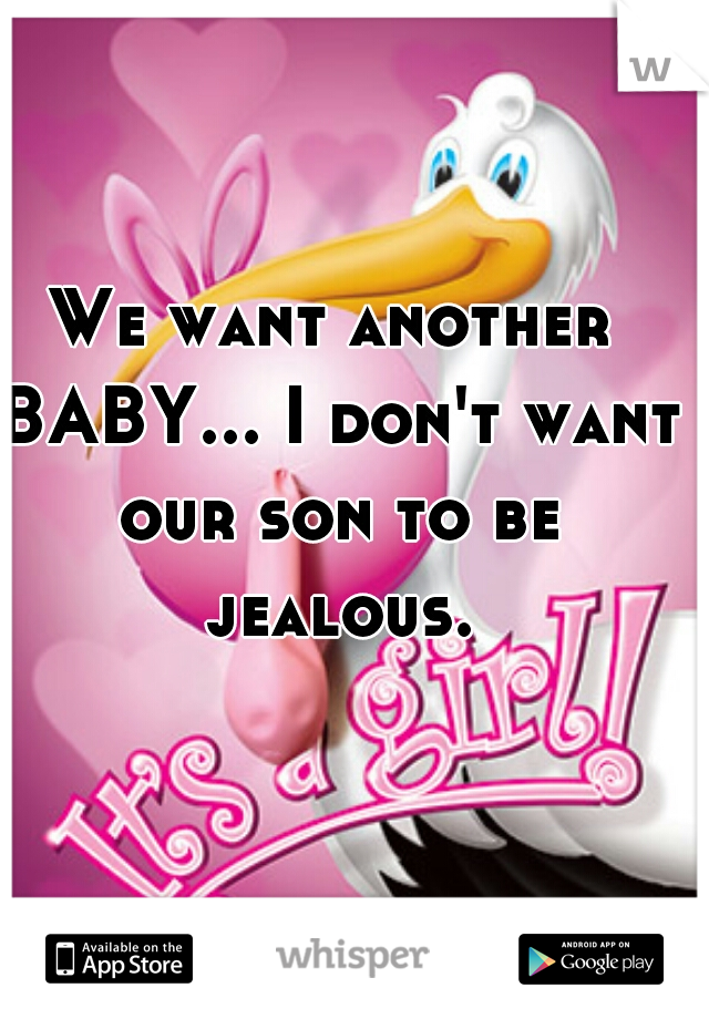 We want another BABY... I don't want our son to be jealous.